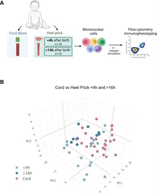 Activation of Lymphocytes in Healthy Neonates Within Hours of Birth